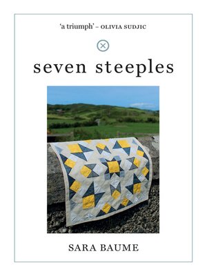 cover image of seven steeples